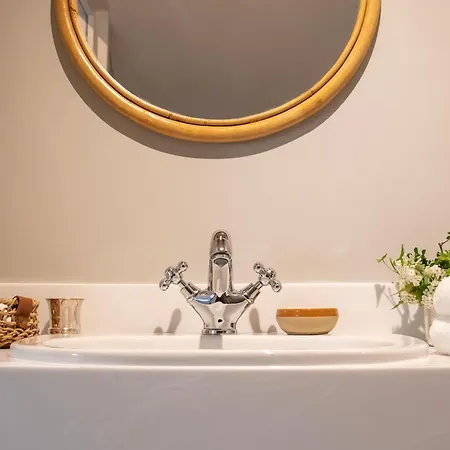Le Perroquet Qui Bulle